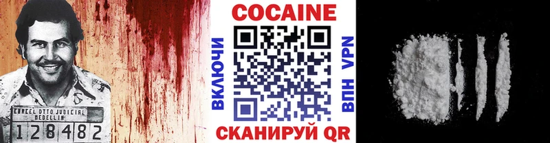 Cocaine Fish Scale  Купить закладки  Терек 