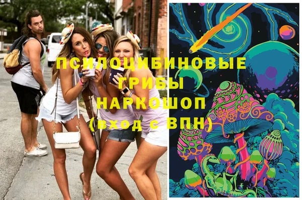амф Бронницы