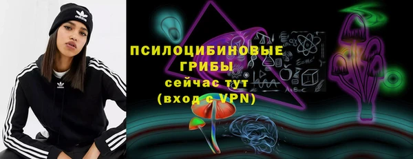 амф Бронницы