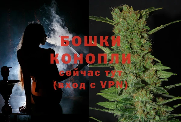 амф Бронницы