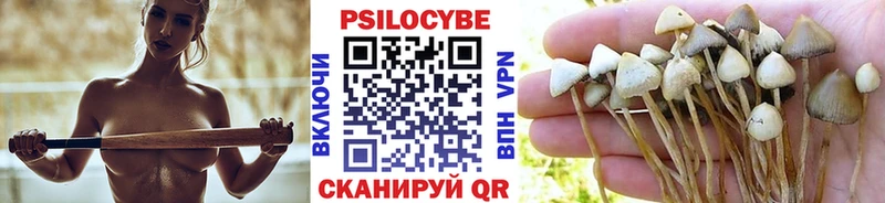 Галлюциногенные грибы прущие грибы  Купить  Терек 